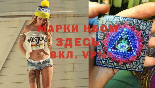 молекула духа Арсеньев