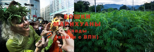 молекула духа Арсеньев