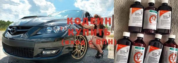 молекула духа Арсеньев