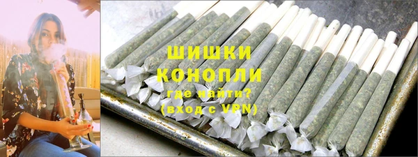 молекула духа Арсеньев