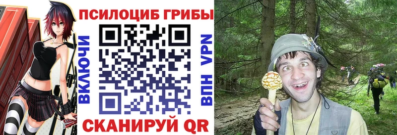Галлюциногенные грибы Psilocybe  Купить  Ступино 