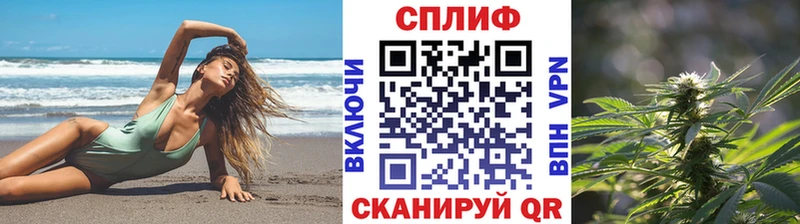 Купить  Ступино  Конопля MAZAR 